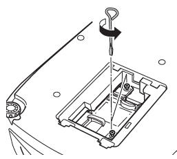 Epson_EMP-TW10_power_cord_lamp_cover_loosen_lamp_screws_Epson_ELPLP_25_lamp